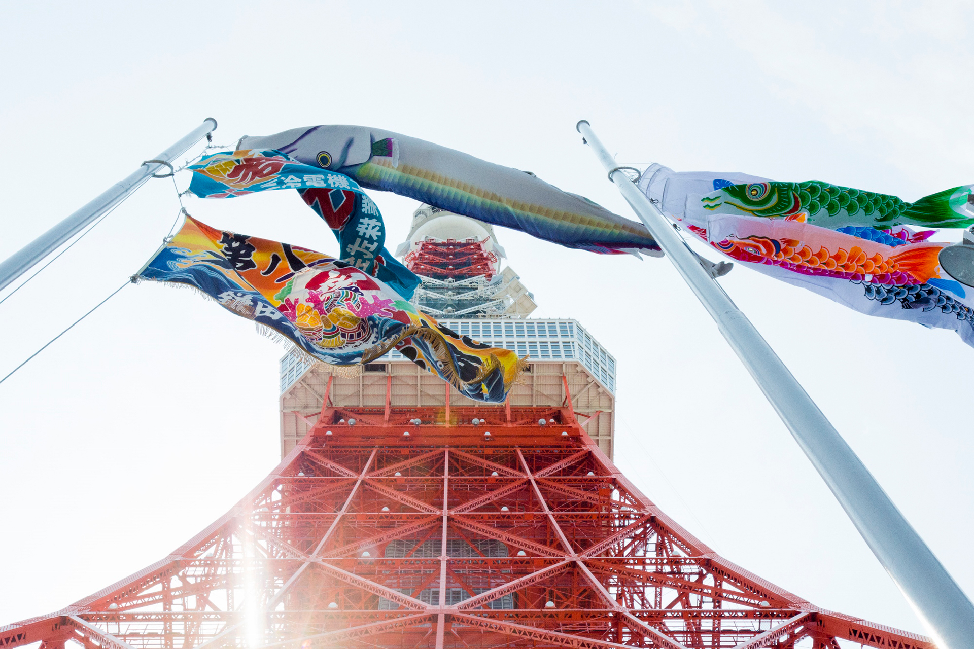 東京タワー 333匹の『鯉のぼり』と巨大『さんまのぼり』
