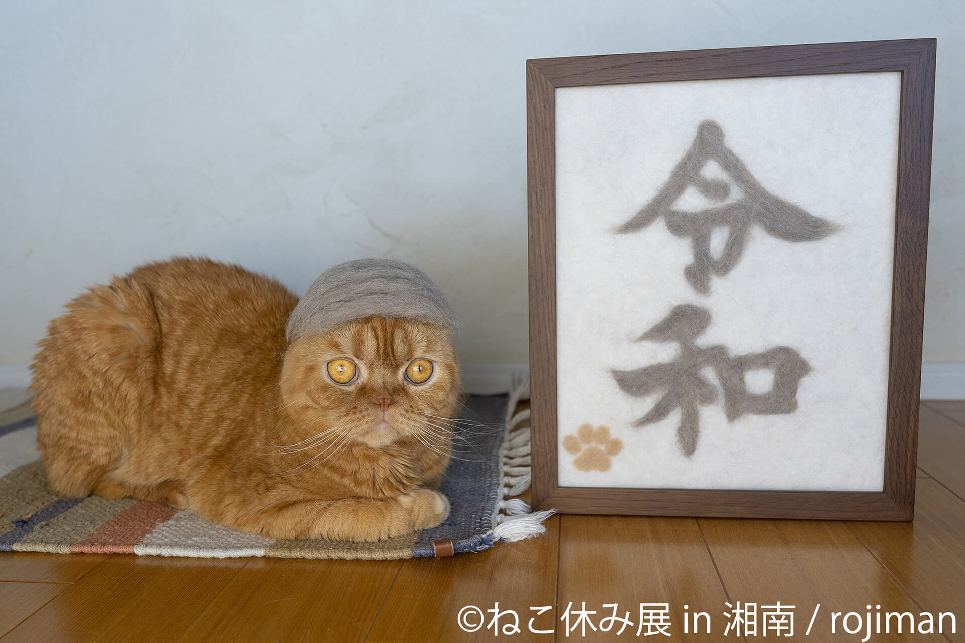 この写真はねこ休み展 in 湘南の展示作品で、令和の色紙と記念撮影する猫です