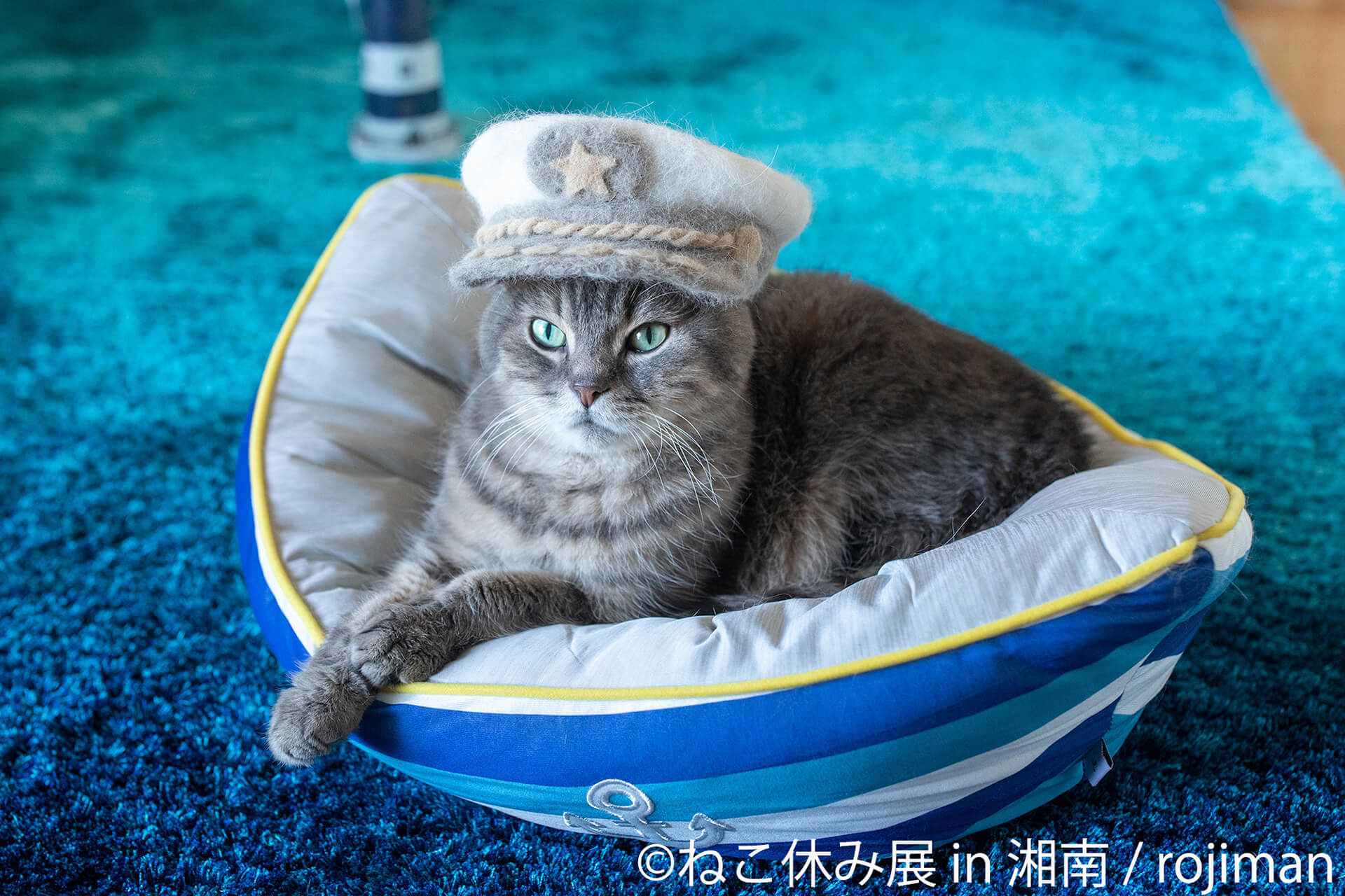 この写真はねこ休み展 in 湘南の展示作品で、セーラー風の格好をした猫です