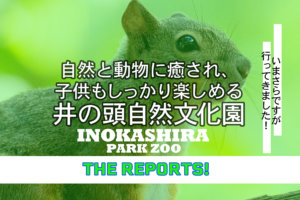井の頭文化園メインビジュアル