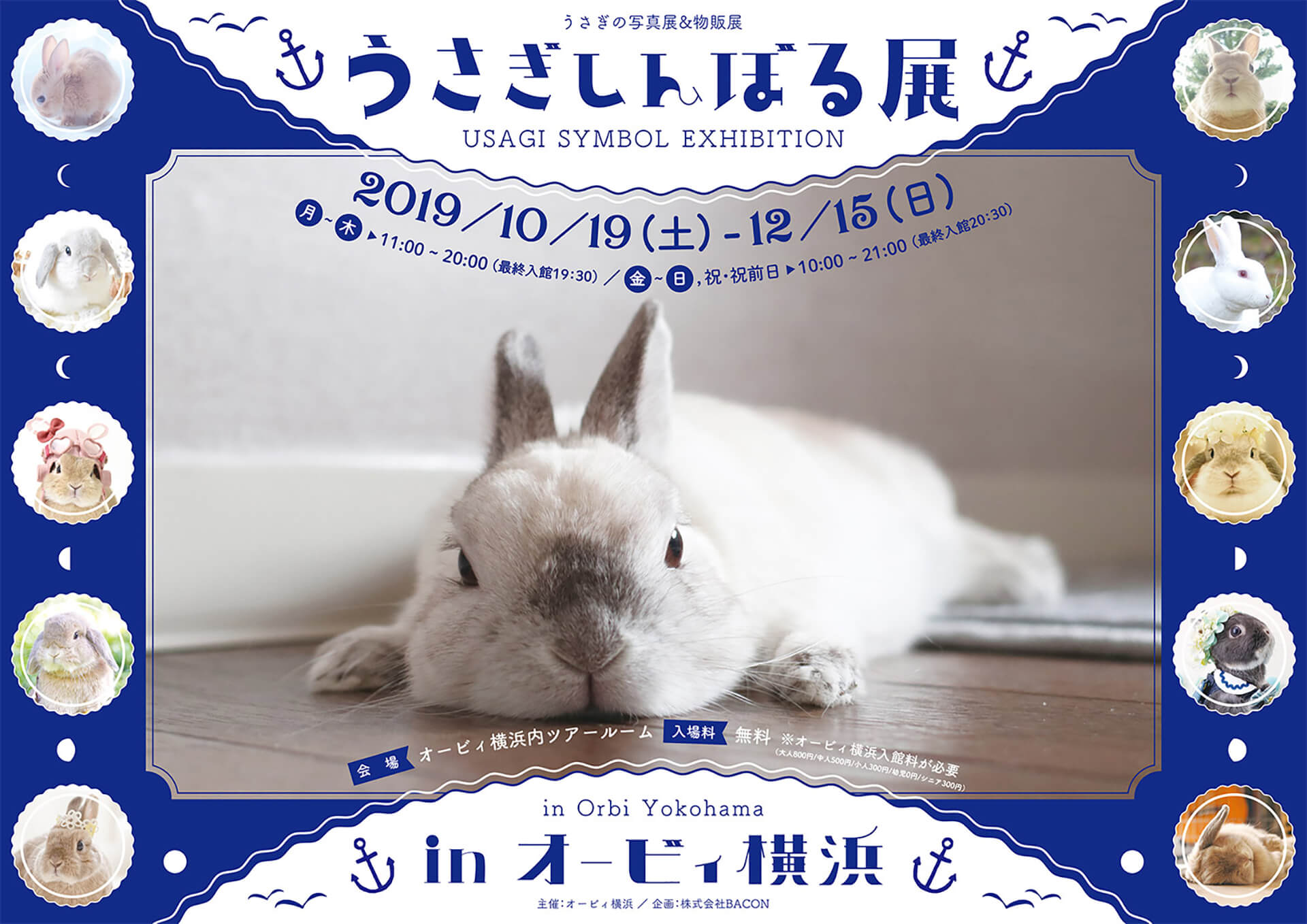 うさぎしんぼる展 in オービィ横浜バナー