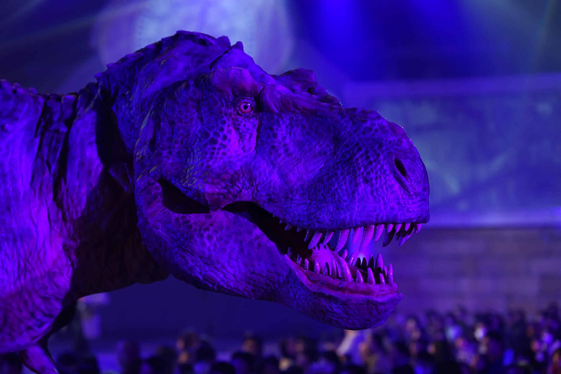 、「DINO-A-LIVE『不思議な恐竜博物館』 in TACHIKAWA」
