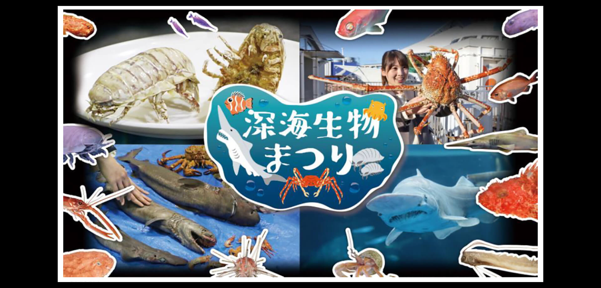 横浜・八景島シーパラダイス「深海生物まつり」