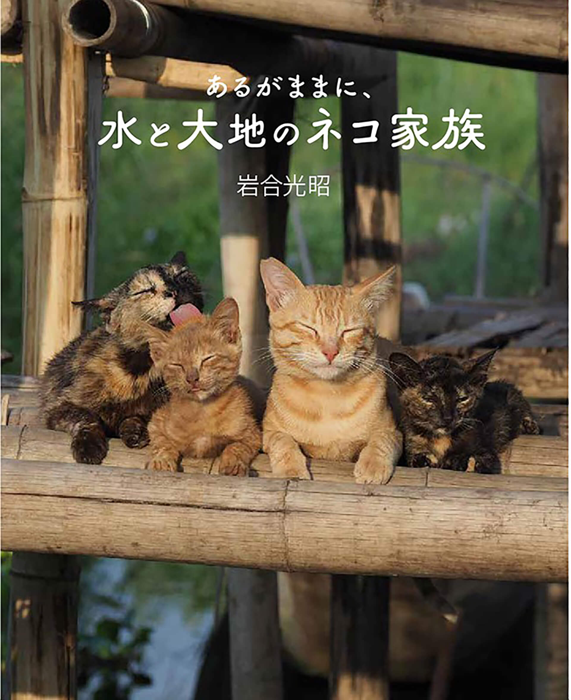 劇場版 岩合光昭の世界ネコ歩き　あるがままに、水と大地のネコ家族