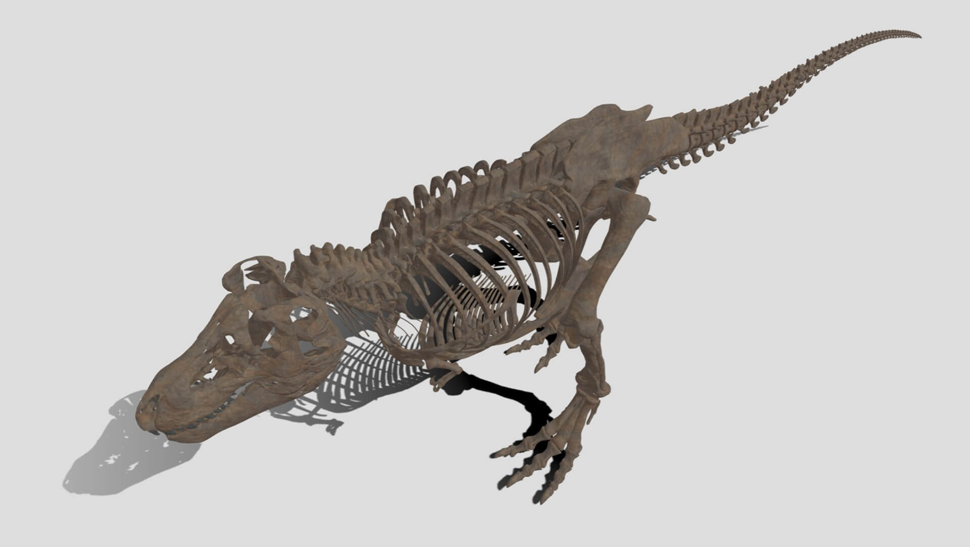 ディノ・ネット　デジタル恐竜展示室