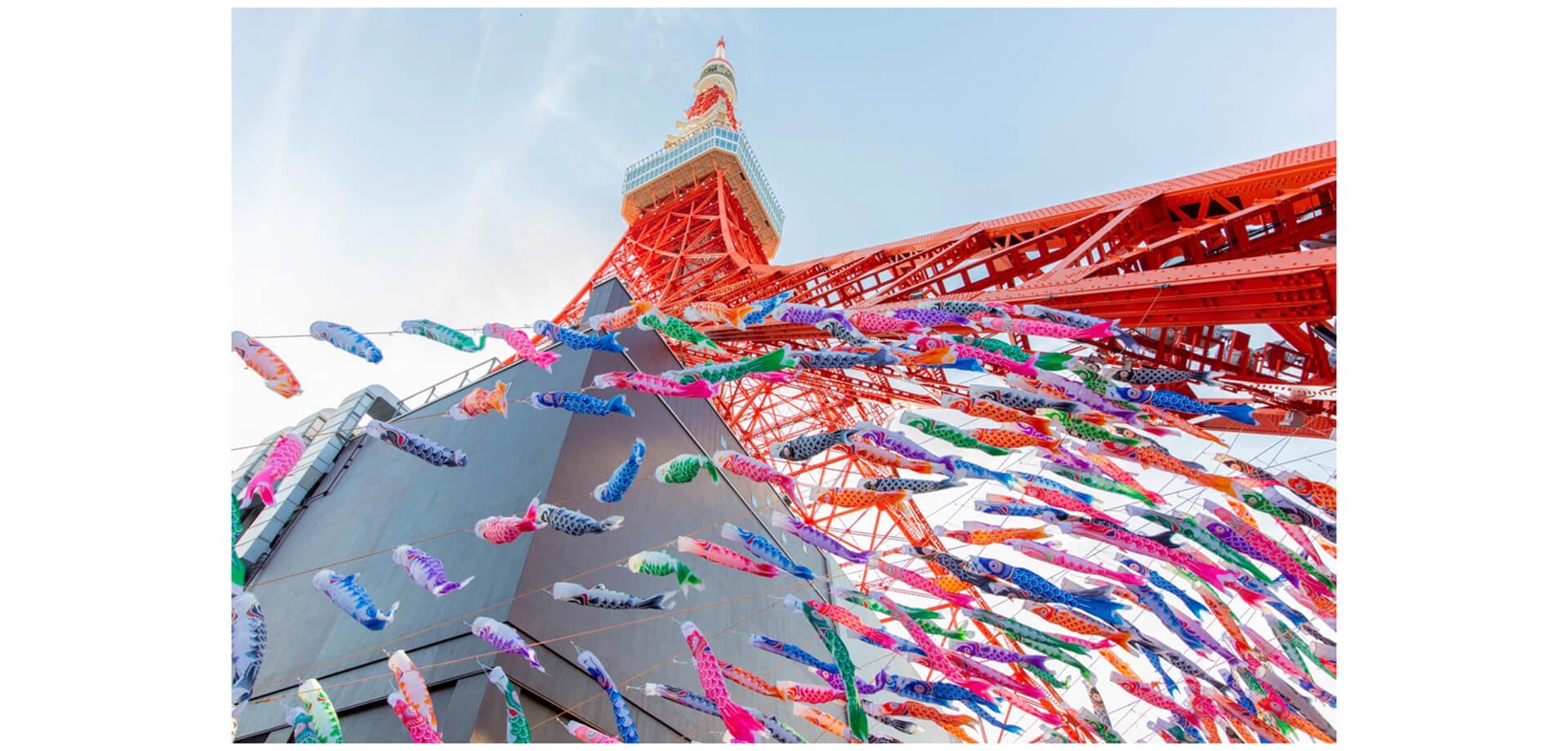 東京タワー　333匹の鯉のぼり