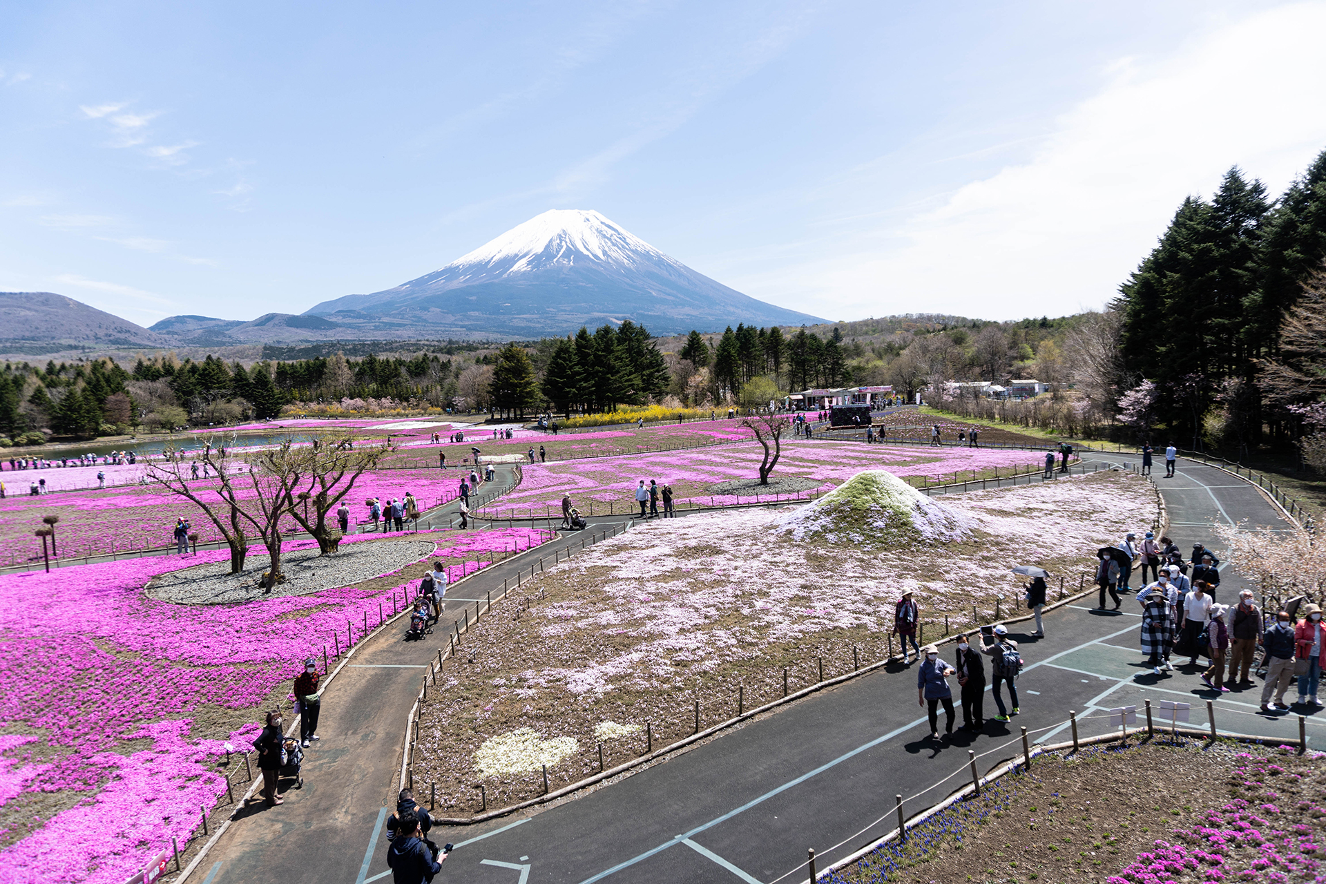 芝桜・富士山周辺観光ツアー・富士急行