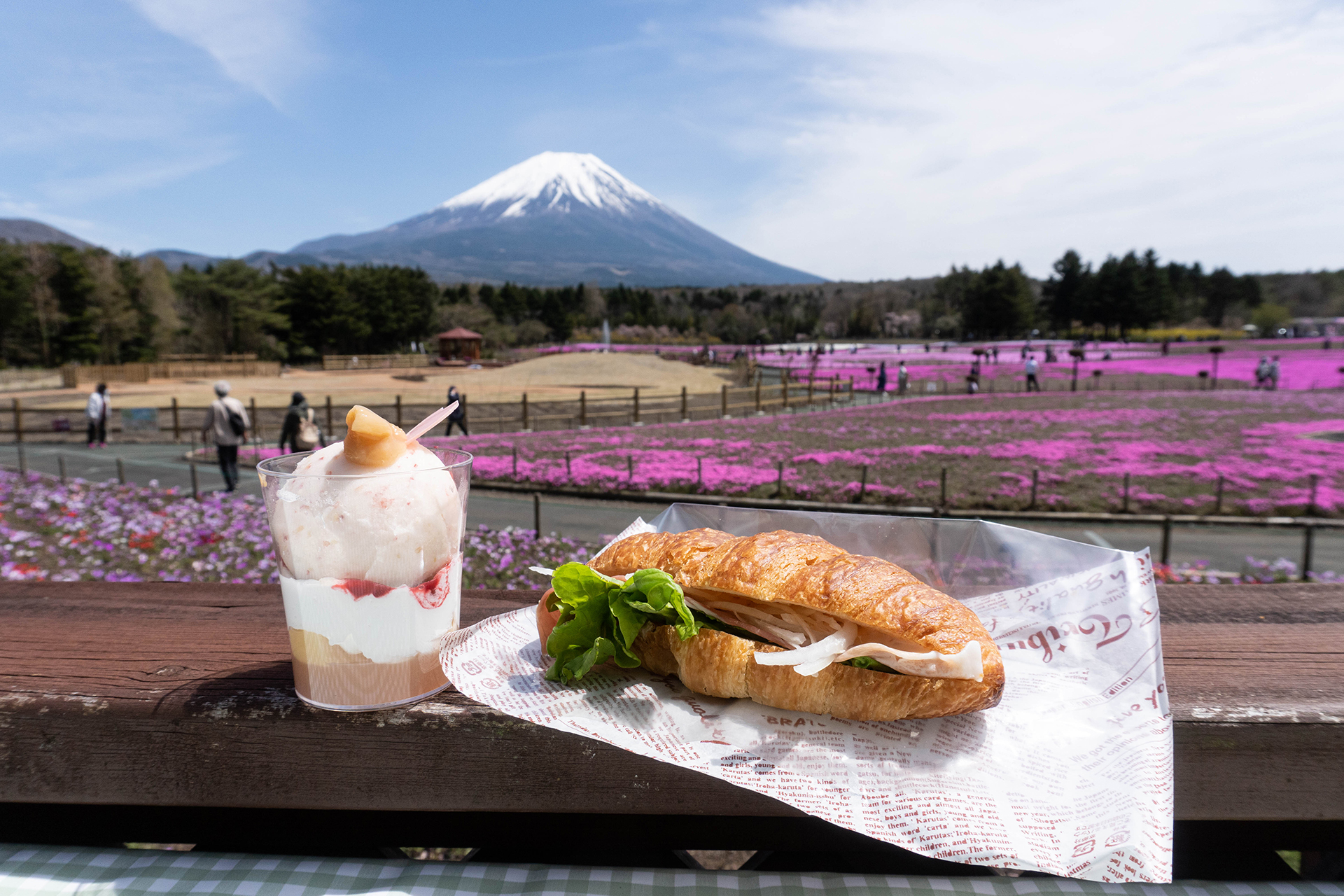 芝桜・富士山周辺観光ツアー・富士急行