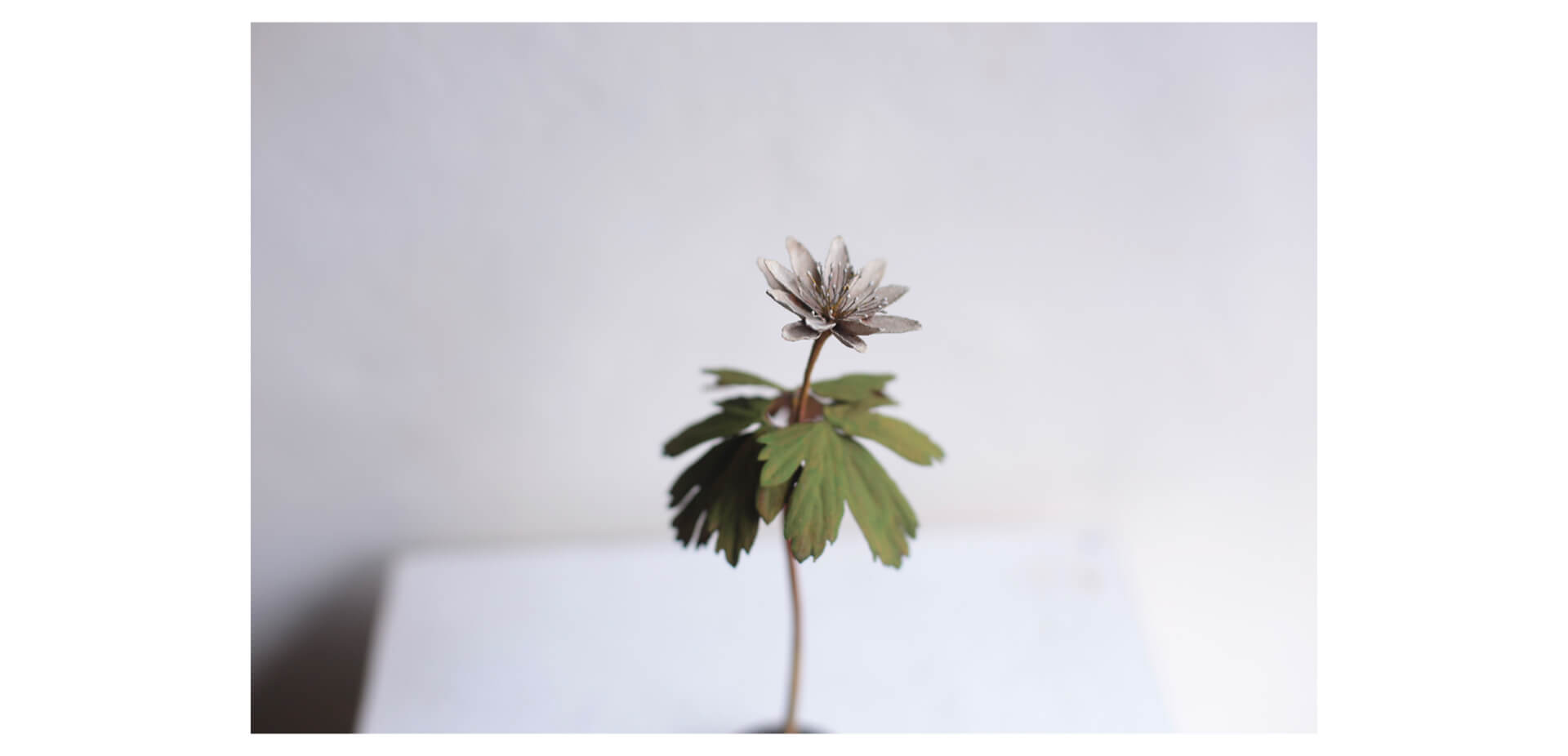 【IDEE TOKYO】モリソン小林 作品展"small plants"