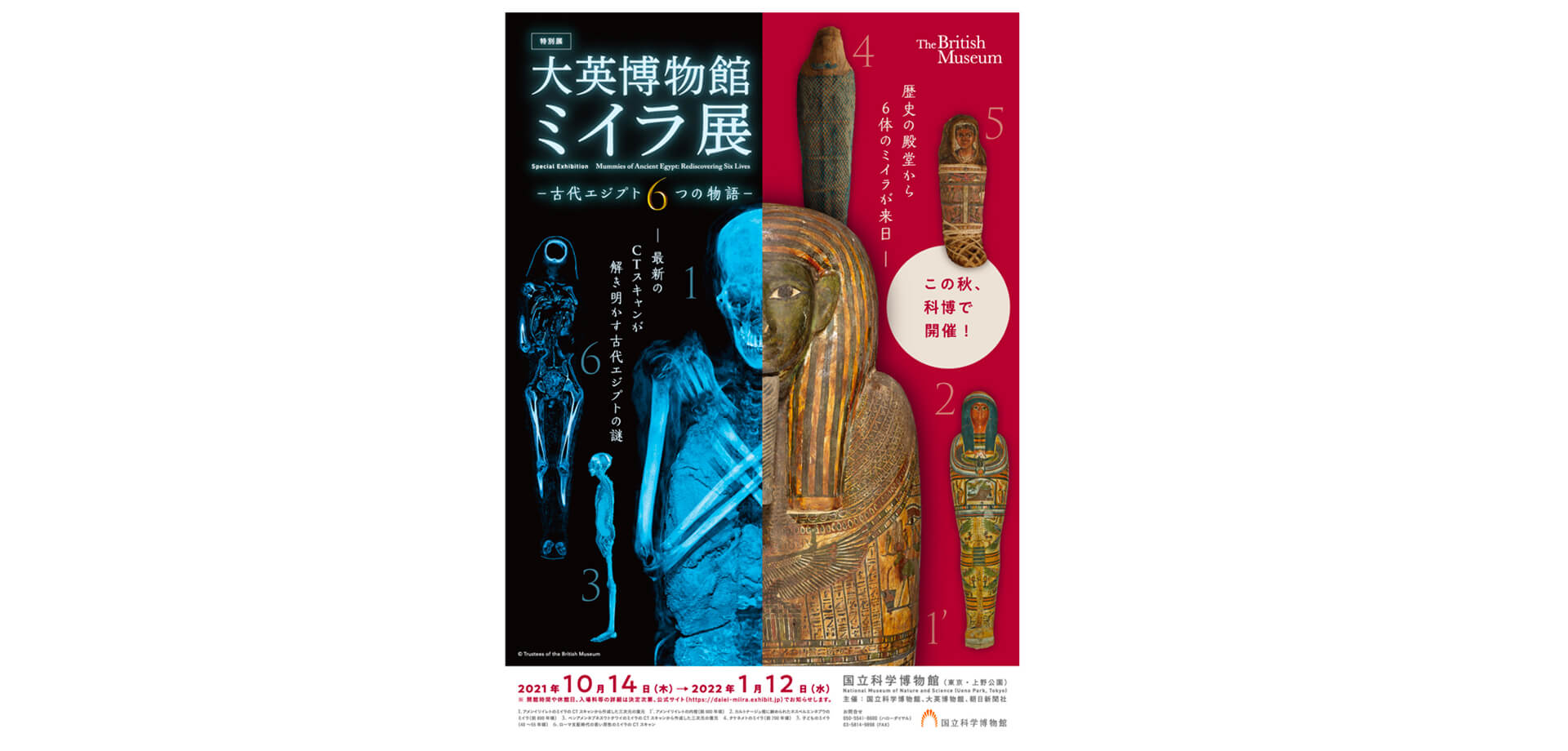 特別展「大英博物館ミイラ展　古代エジプト６つの物語」