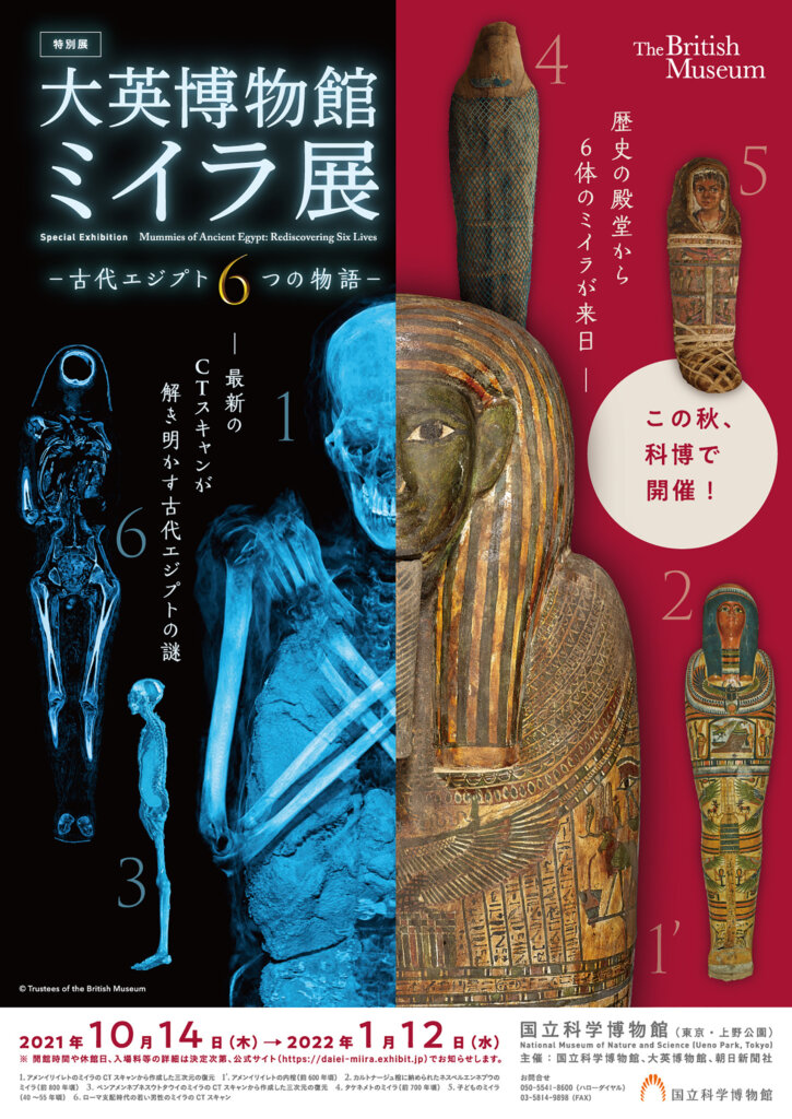 特別展「大英博物館ミイラ展　古代エジプト６つの物語」