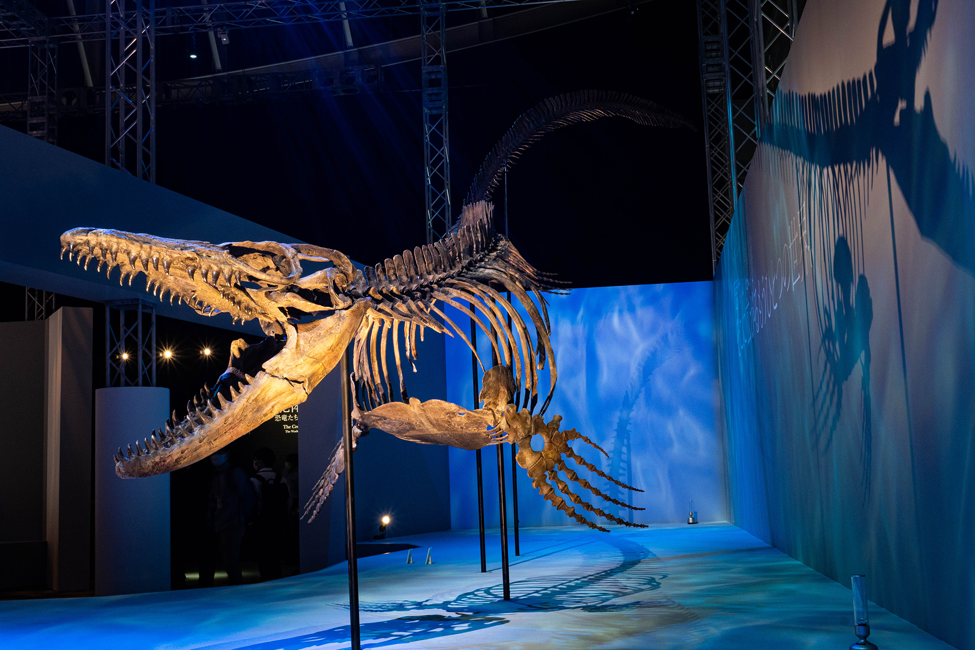 『DinoScience 恐竜科学博』 今年の夏休みは横浜へ! 全身骨格展示が多数ある話題の恐竜展を見に行こう♪ | 関東のお出かけ情報ならオソトイコ