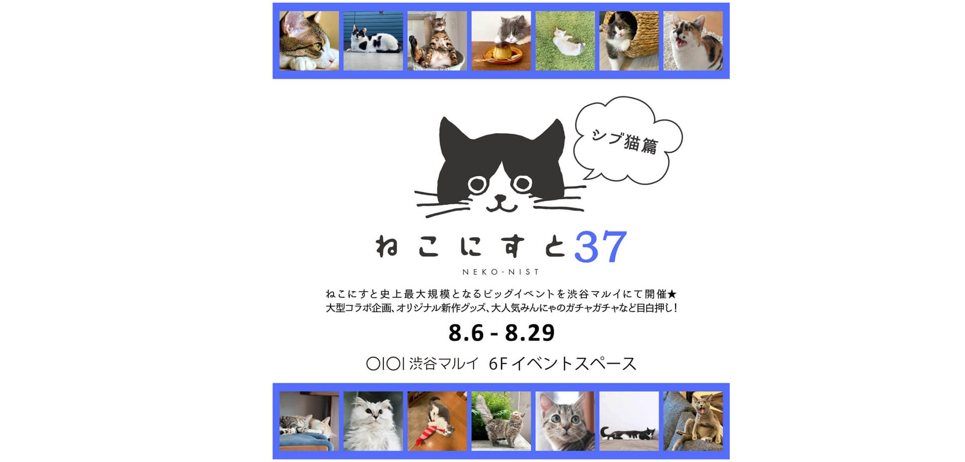 「ねこにすと３７～シブ猫篇～」＋いぬ写真パネル展「いぬにすと～シブ犬篇～」　渋谷マルイ