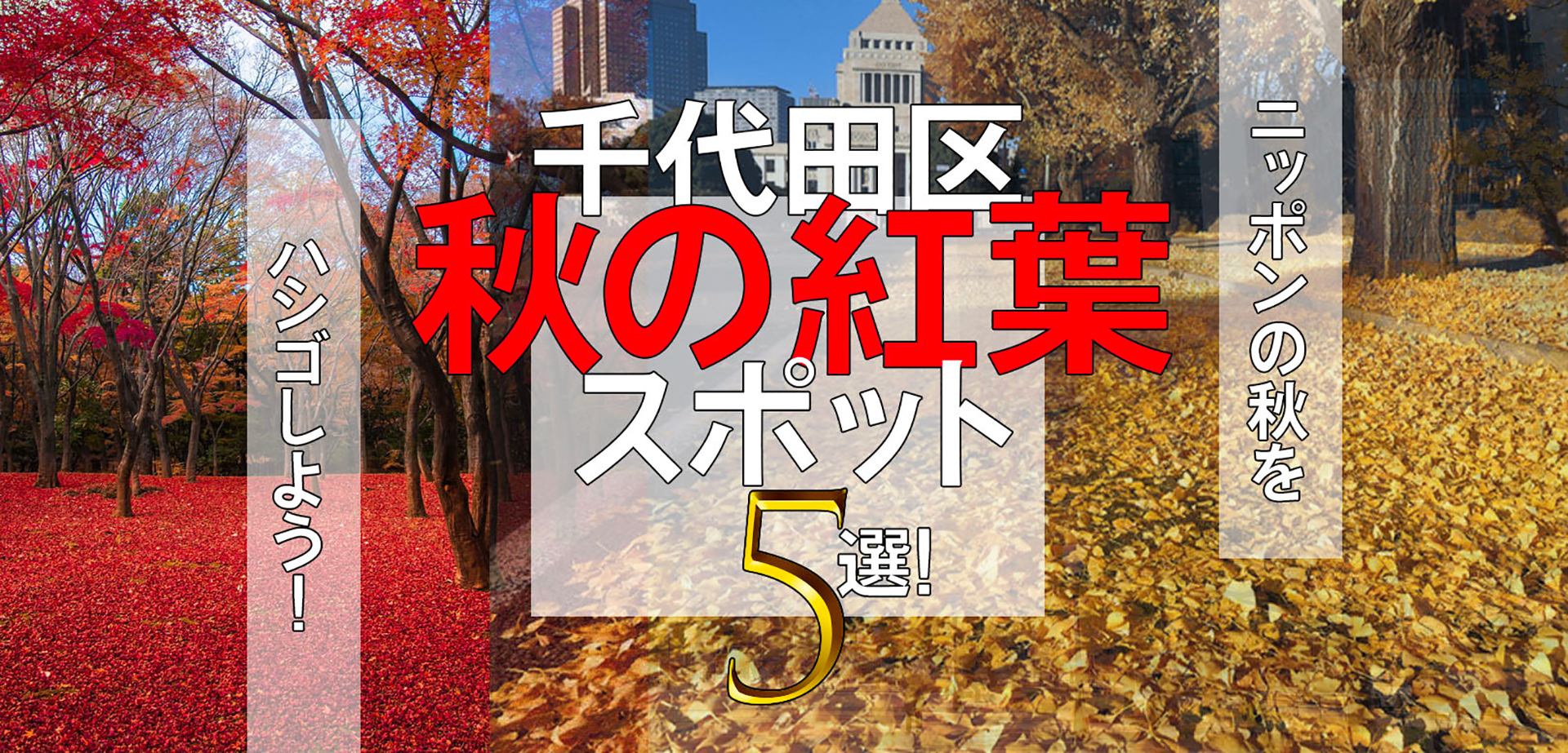 千代田区の「秋の紅葉スポット」