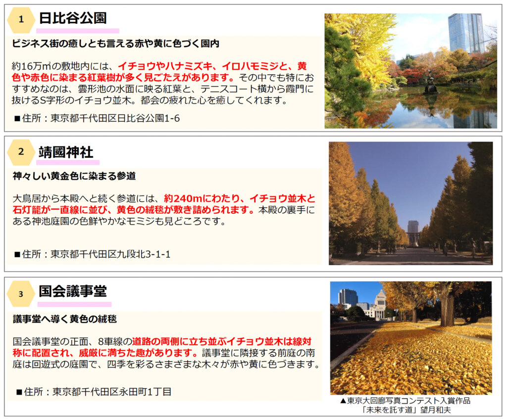 千代田区の「秋の紅葉スポット」