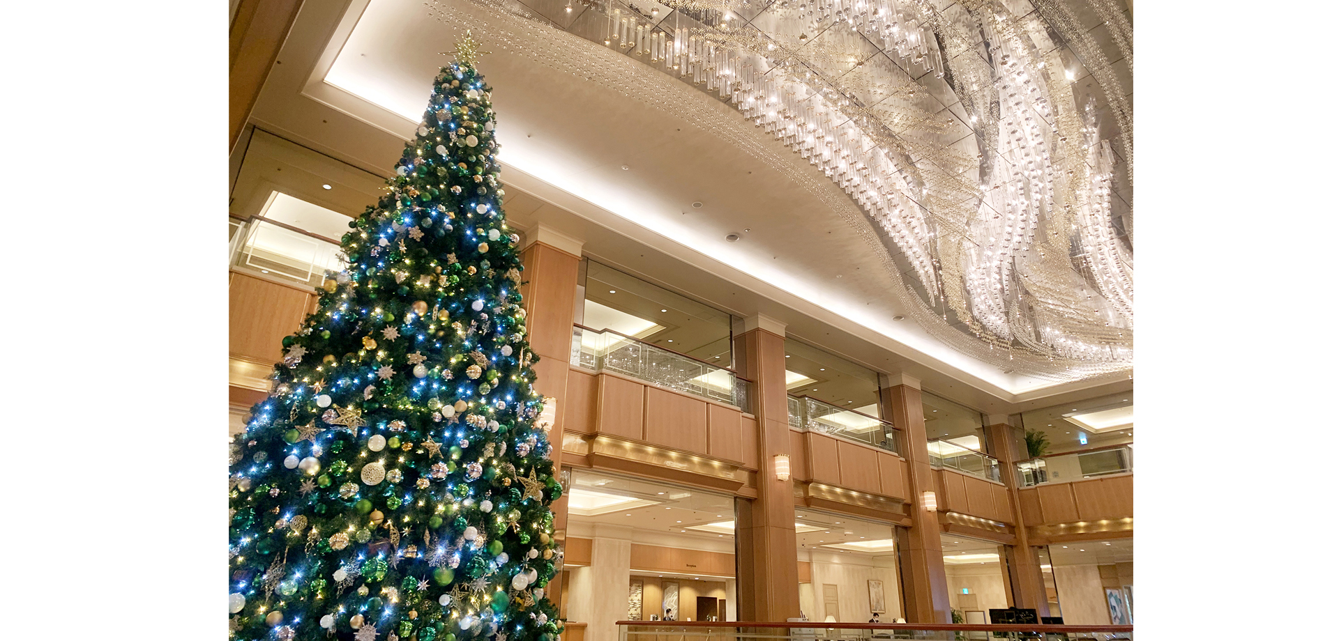 ロイヤルパークホテル】クリスマスツリー