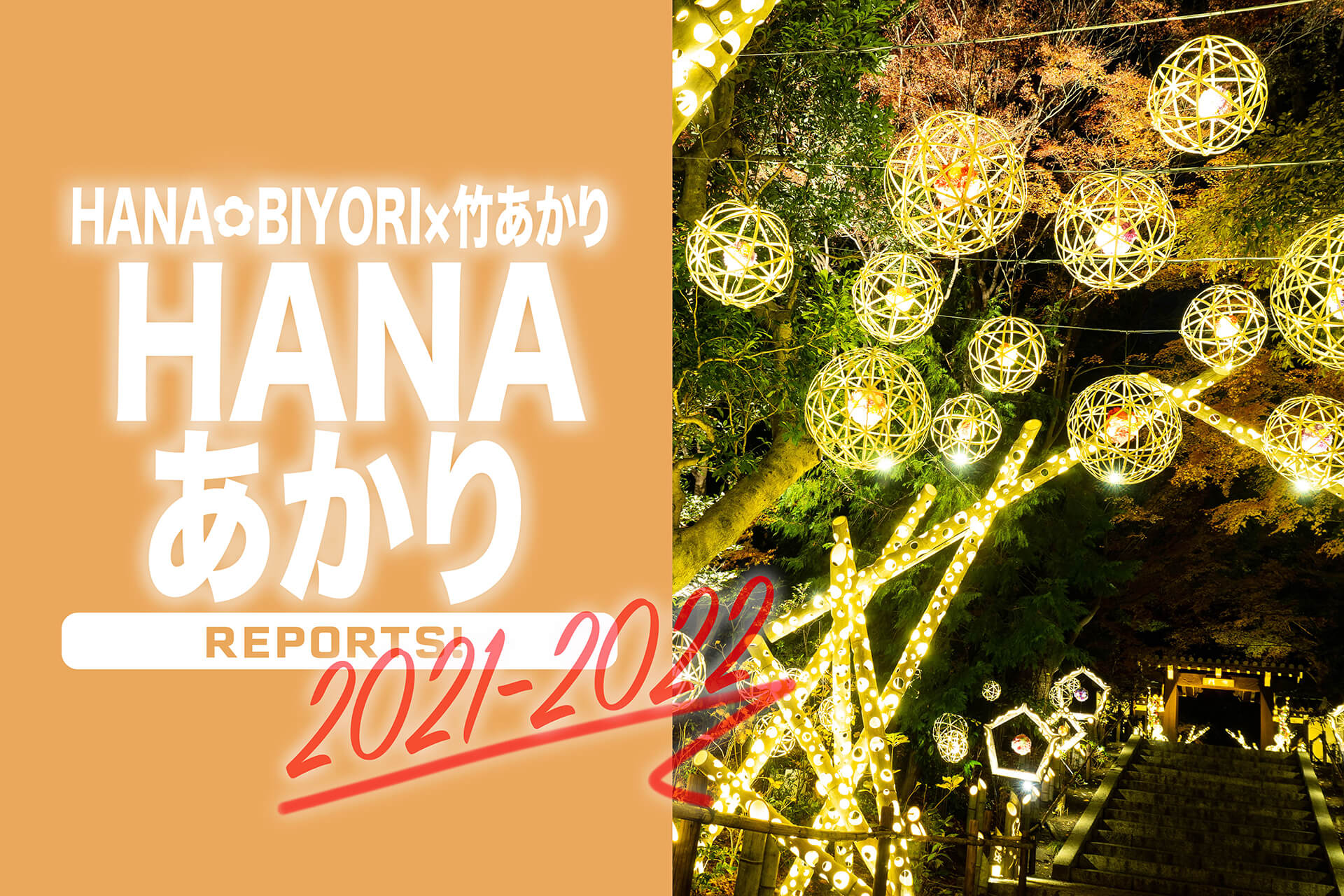 HANA・BIYORI×竹あかり『HANAあかり』 話題フラワーパークのイルミネーションは、ほかとは違う“和”の演出に注目です! |  関東のお出かけ情報ならオソトイコ