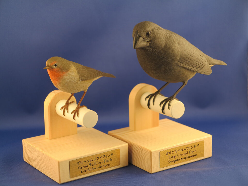 港区立みなと科学館「国立科学博物館 巡回展 ダーウィンを驚かせた鳥たち　日本の生物多様性とその保全」