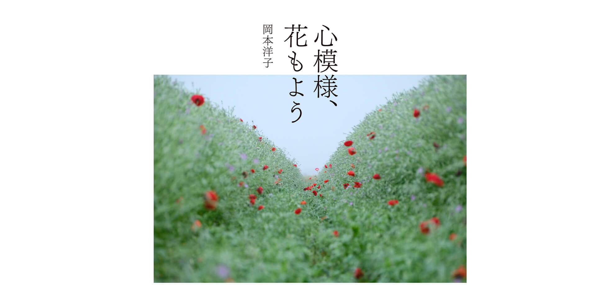 フジフイルム スクエア　企画写真展岡本洋子写真展「心模様、花もよう」