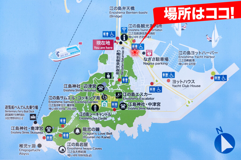 ENOSHIMA TREASURE CAFE　江の島　タカラッシュ　リアル宝探し
