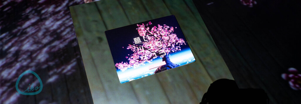 GINZA456 KDDI 願いツナグサクラ　桜　お花見