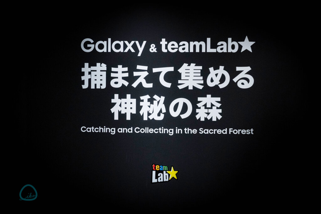 Galaxy Harajuku　チームラボ「捕まえて集める神秘の森」