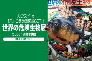 カワスイ×角川の集める図鑑GET!　世界の危険生物展