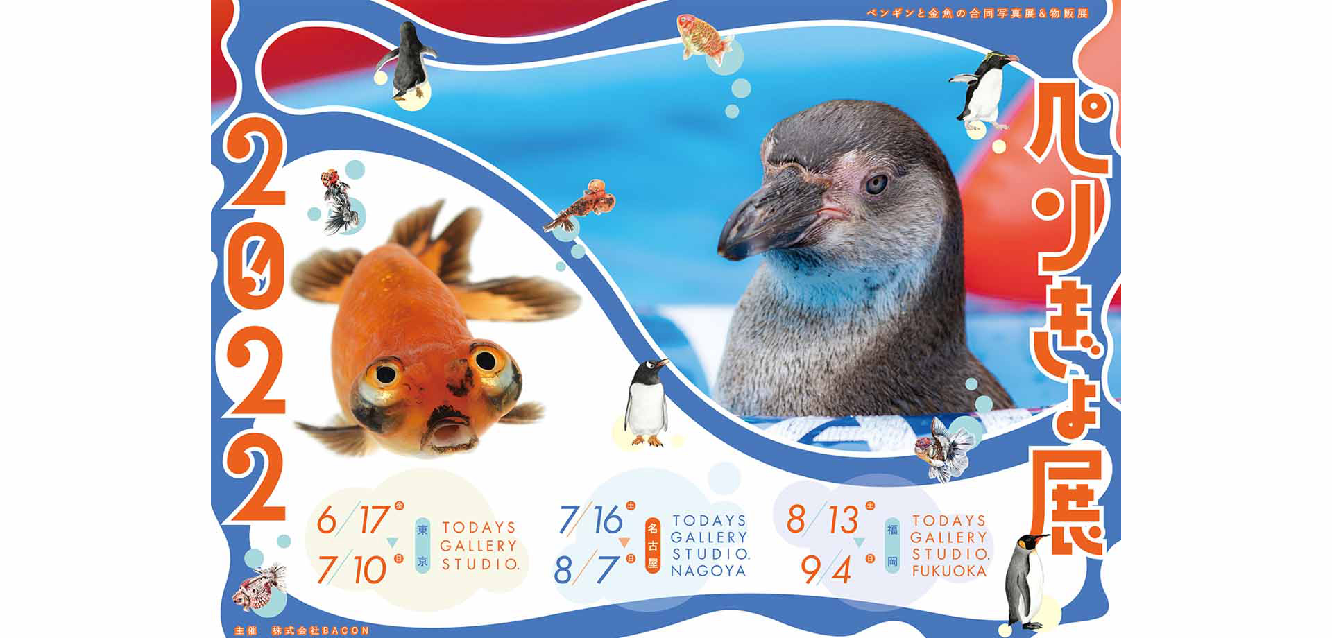 TODAYS GALLERY STUDIO.ペンギンと金魚の合同写真展＆イラスト物販展「ペンぎょ展 2022」