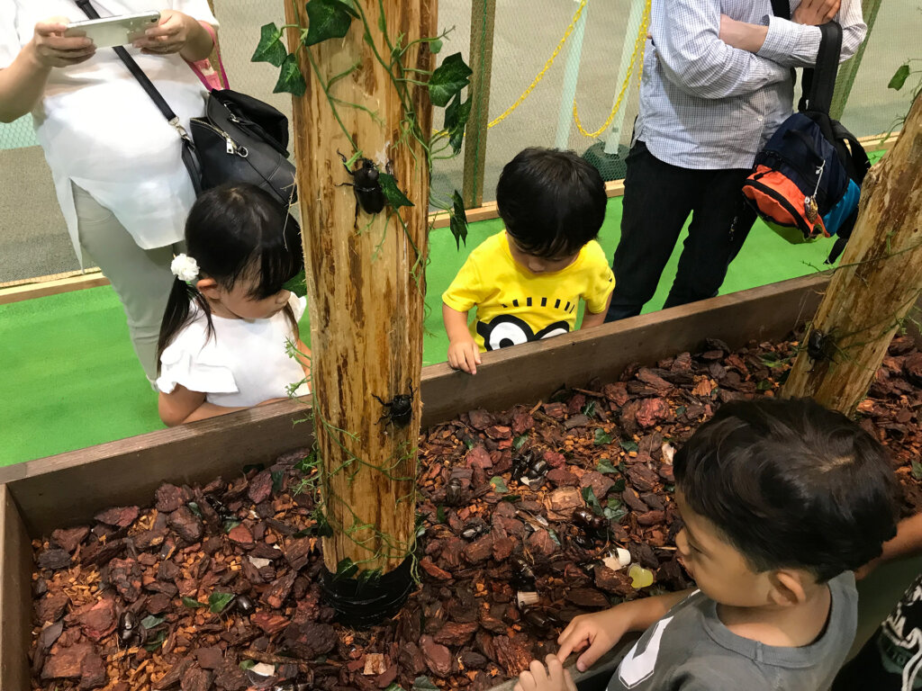 ファーブルに学ぶ！体感する昆虫展TOKYO