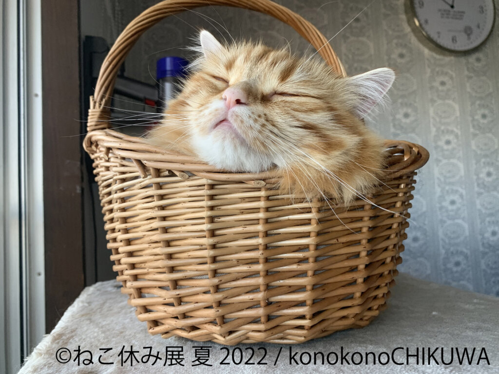 猫の合同写真展＆物販展「ねこ休み展 夏 2022」