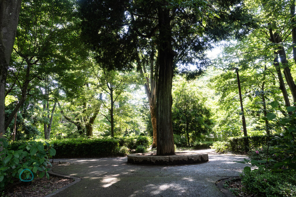立川　諏訪の森公園　諏訪神社