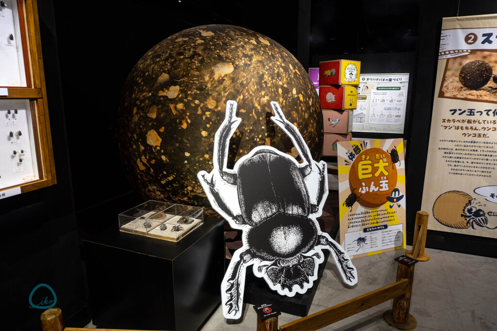 ファーブルに学ぶ!　体感する昆虫展TOKYO　東京ドームシティ
