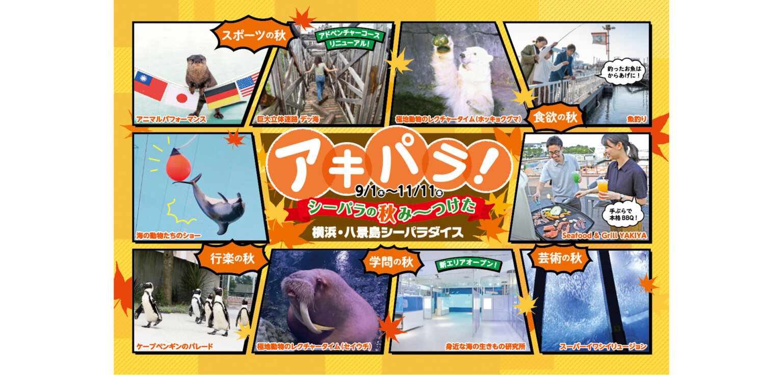 オソドリン D リーフレット