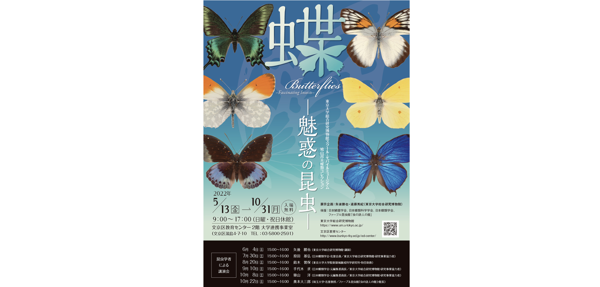 蝶 －魅惑の昆虫－ 文京区教育センター