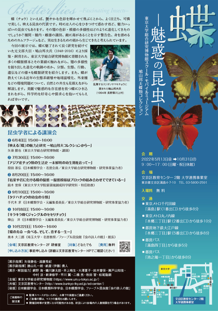 蝶 －魅惑の昆虫－ 文京区教育センター