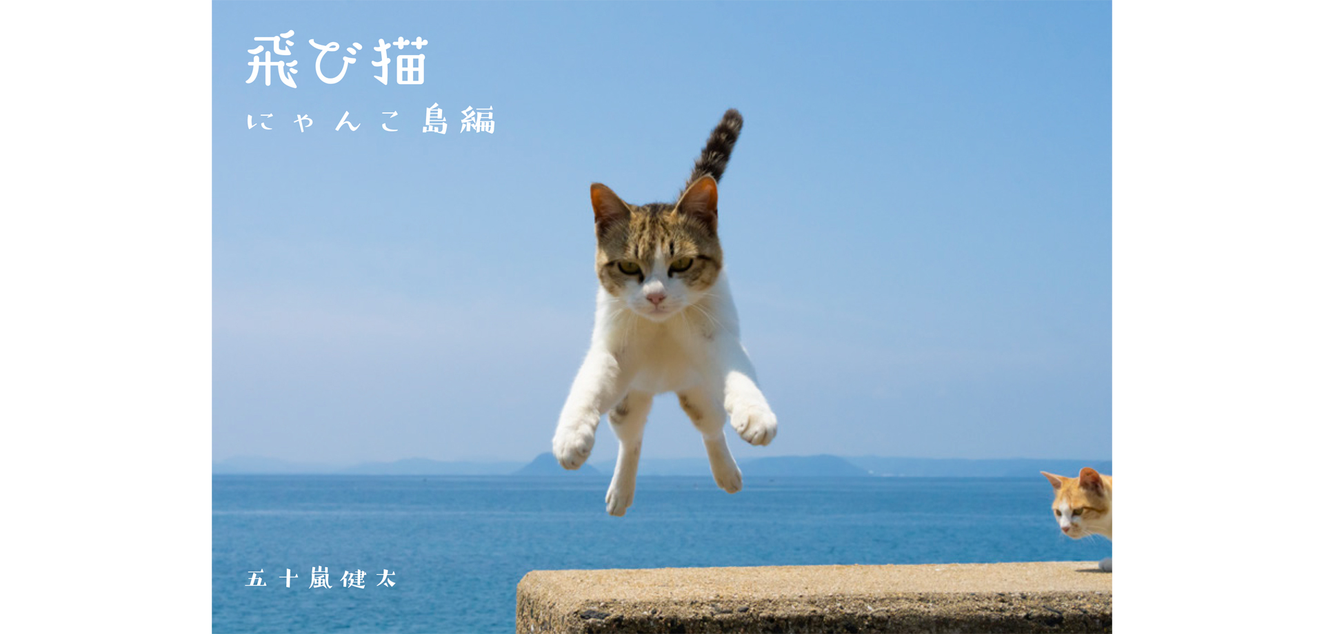 五十嵐 健太「飛び猫写真展」 東京スカイツリータウン・ソラマチ