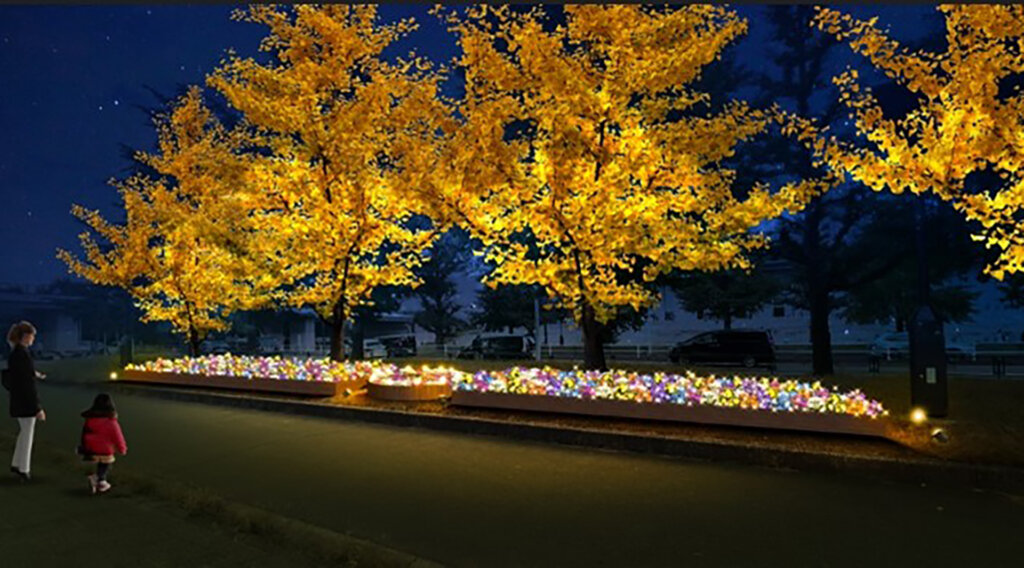 駒沢オリンピック公園「花と光のムーブメント」 駒沢オリンピック公園×フォーチュンベゴニア