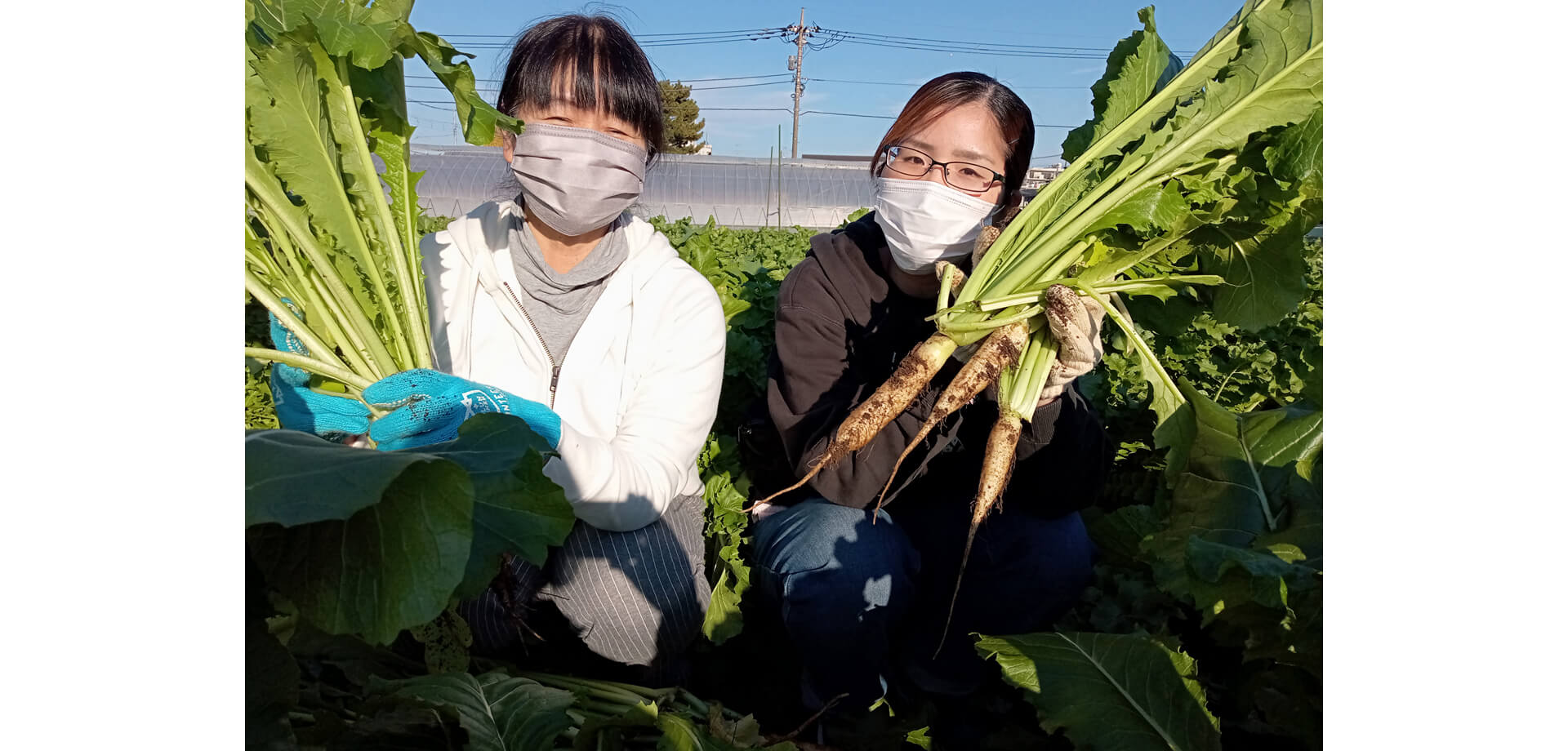 江戸東京野菜を学ぶ～伝統野菜・都市農業にふれよう 全国農協観光組合