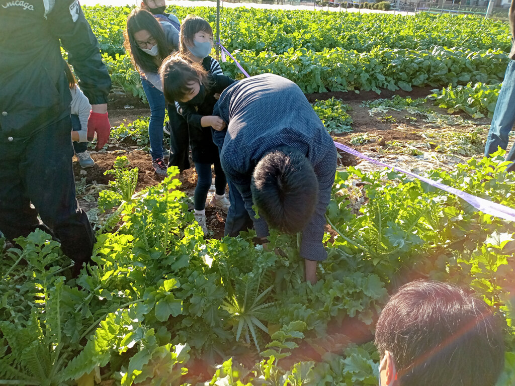 江戸東京野菜を学ぶ～伝統野菜・都市農業にふれよう 全国農協観光組合