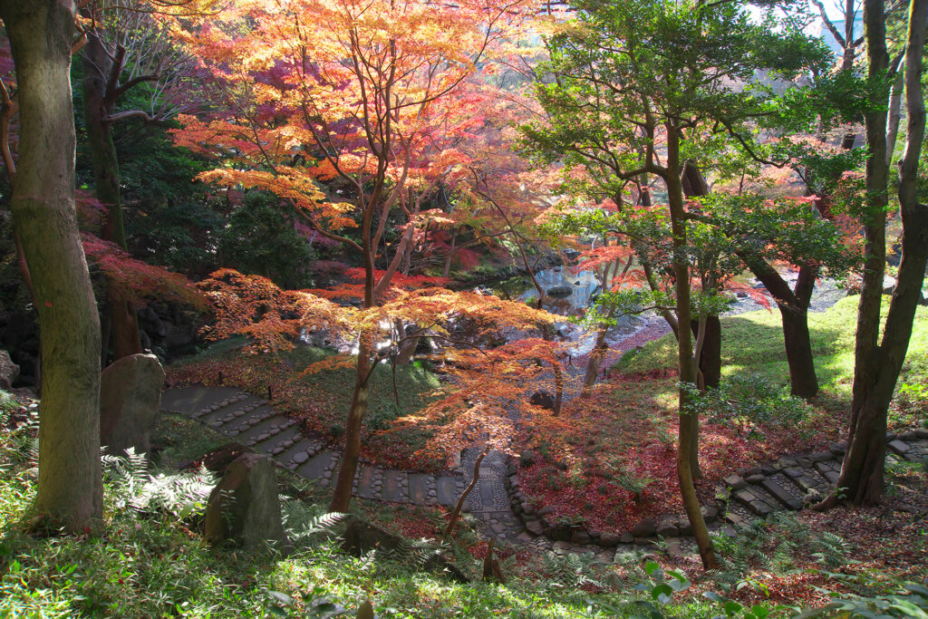 小石川後楽園「深山紅葉を楽しむ」