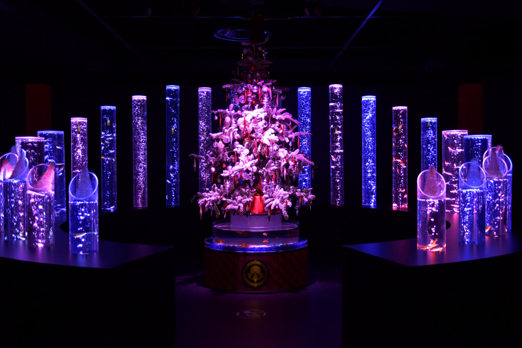 アートアクアリウム美術館 GINZA 　燈りにきらめく冬金魚