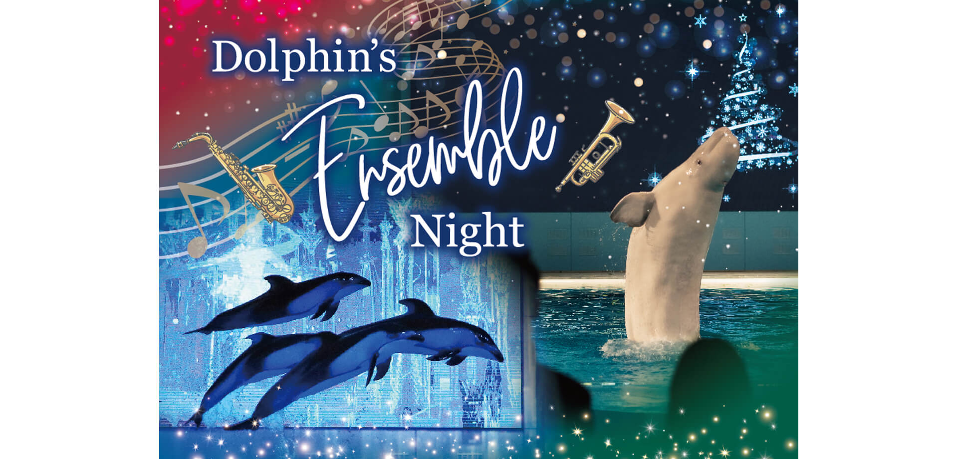横浜・八景島シーパラダイス Dolphin’s Ensemble Night（ドルフィンズ アンサンブル ナイト）