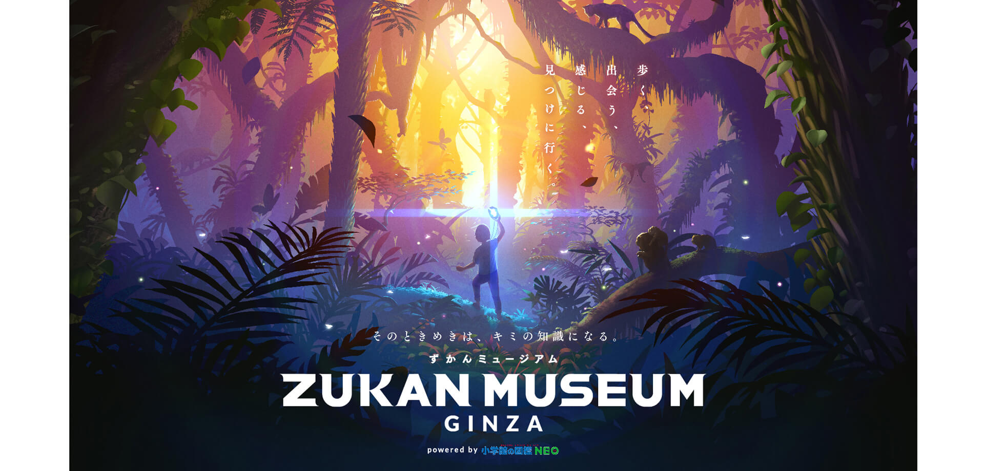 ZUKAN MUSEUM GINZA powered by 小学館の図鑑NEO 子ども料金半額キャンペーン