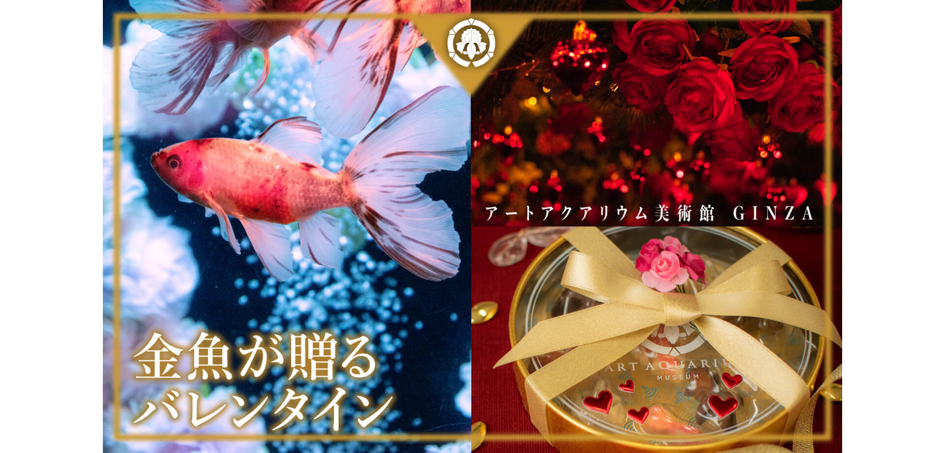 アートアクアリウム美術館 GINZA バレンタイン限定金魚チョコ付きペアチケット