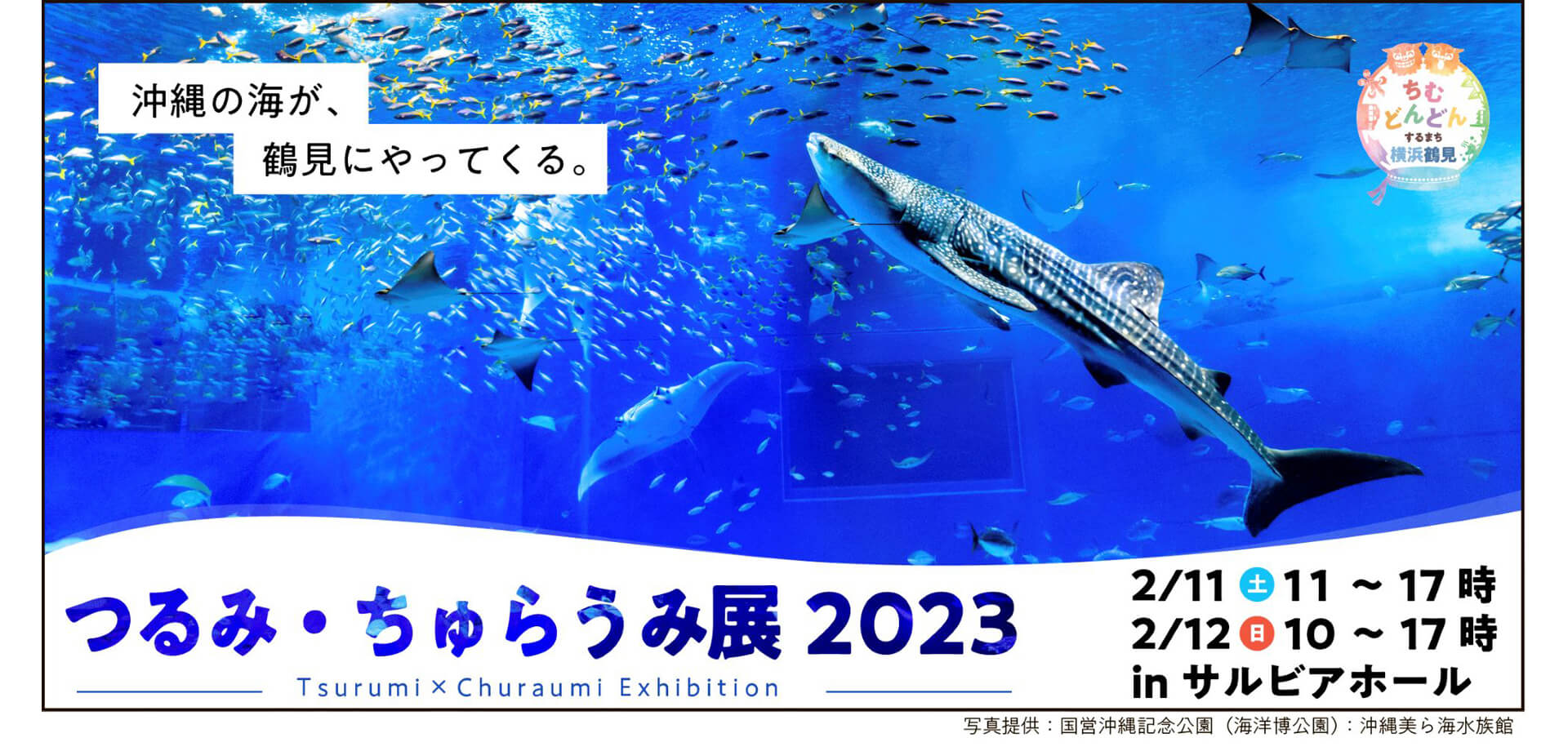 つるみ・ちゅらうみ展2023 横浜市鶴見区民文化センター サルビアホール