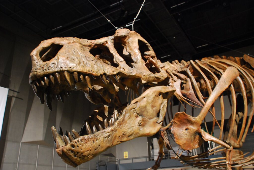 特別展「恐竜博2023」国立科学博物館
