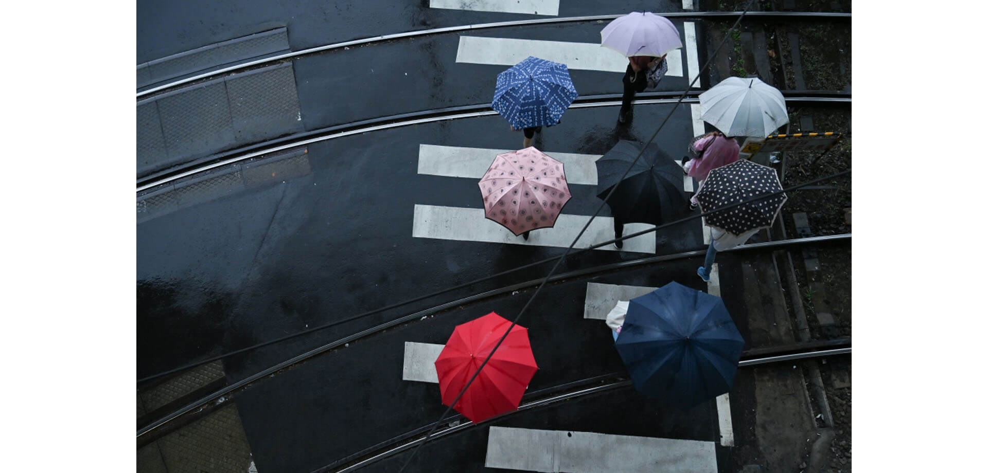 GTY写真展2023 「Rainy day」