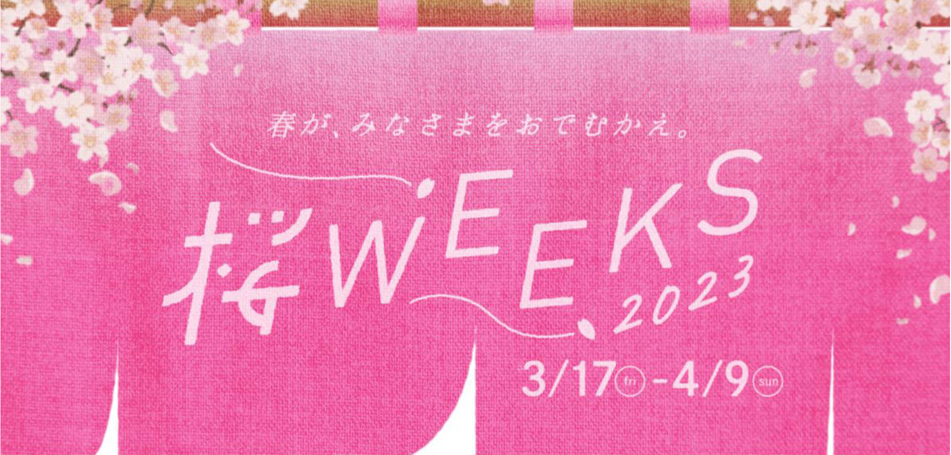 COREDO室町「桜 WEEKS 2023」 日本橋