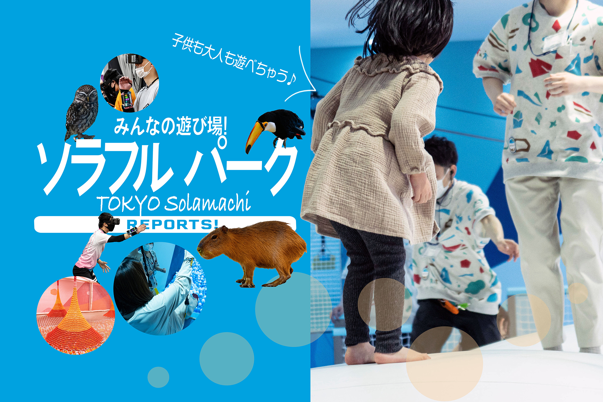 みんなの遊び場 ソラフル パーク』 東京ソラマチ®の5Fフロアが全面