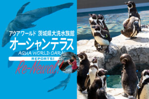 アクアワールド茨城県大洗水族館　オーシャンテラス　アシカ　ペンギン